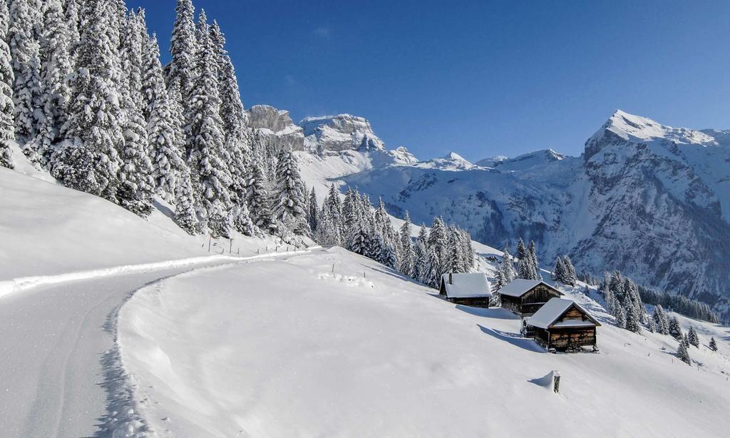 Alpenclub Hotell Engelberg Eksteriør bilde